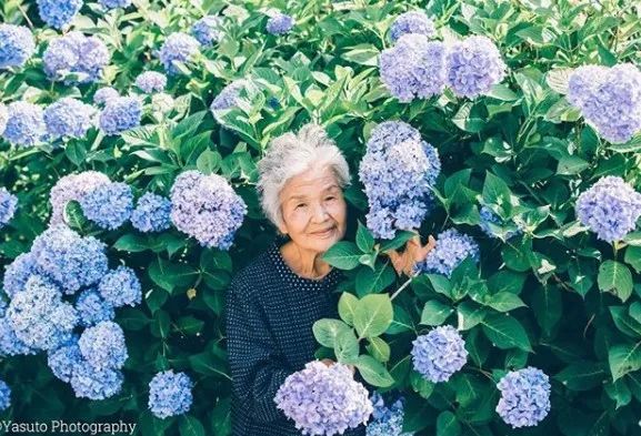 樱花树下86岁奶奶和柴犬一张照片，获12万人点赞，陪伴才是最温暖的承诺