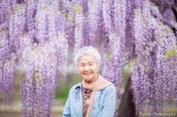 樱花树下85岁奶奶和柴犬一张照片，获12万人点赞，陪伴才是最温暖的承诺