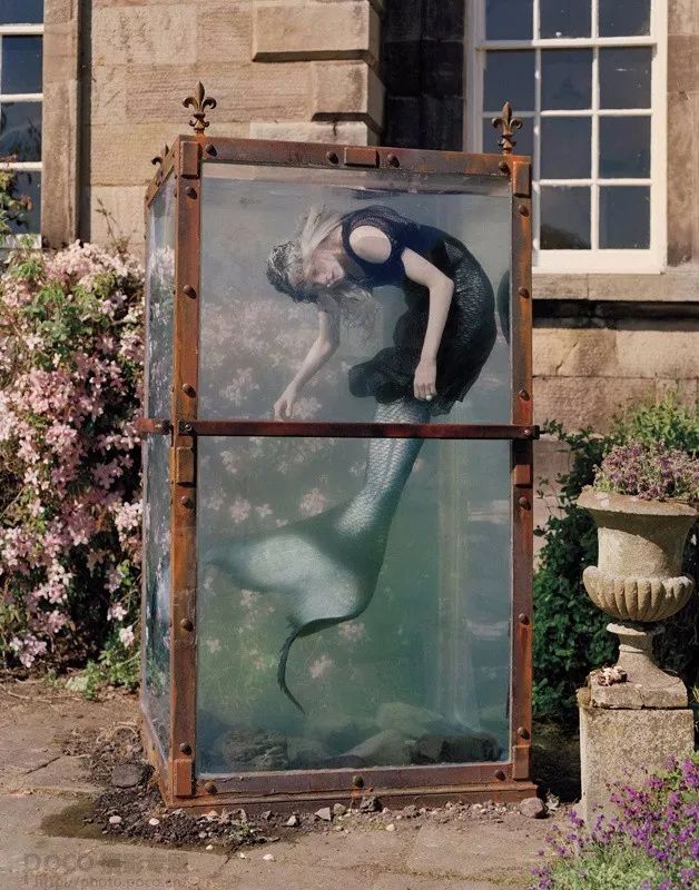 全世界最会用照片讲故事的人，拍出了最怪诞的“爱丽丝梦游仙境”