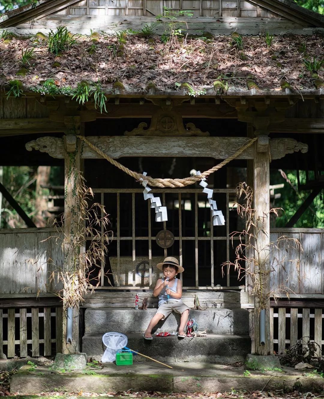 日本摄影师曝光儿子私房照，背景却意外走红：这才是我们向往的夏天！